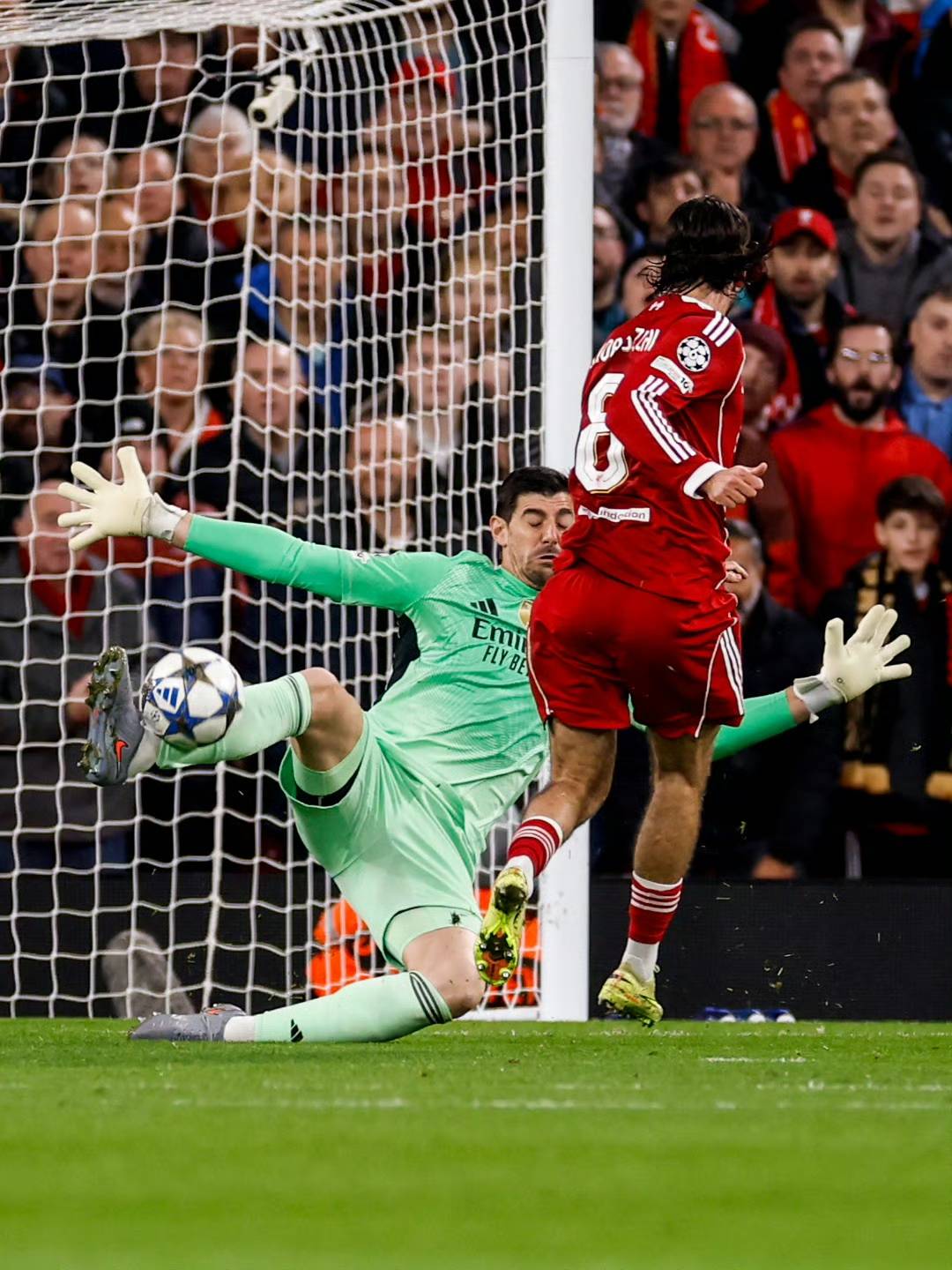 篮球从来不会骗人（篮球从不说谎）